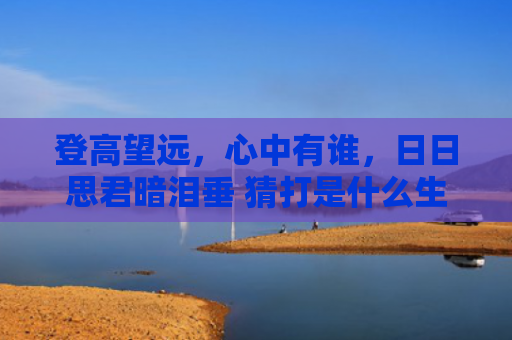 登高望远，心中有谁，日日思君暗泪垂 猜打是什么生肖是指什么生肖，经典解答星座知识
