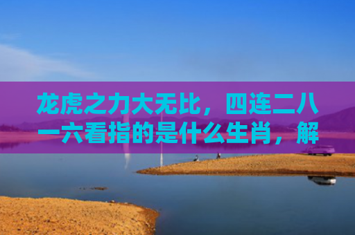 龙虎之力大无比，四连二八一六看指的是什么生肖，解读星座知识