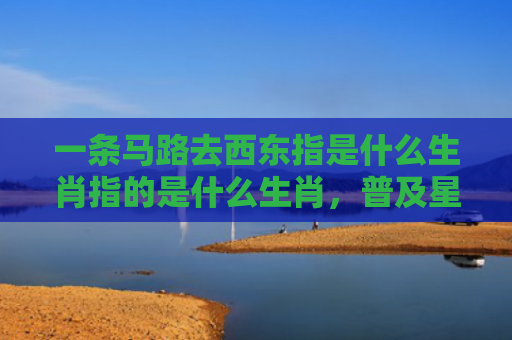 一条马路去西东指是什么生肖指的是什么生肖，普及星座常识