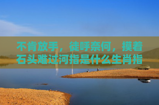 不肯放手，徒呼奈何，摸着石头难过河指是什么生肖指的是什么生肖，星座解读落实