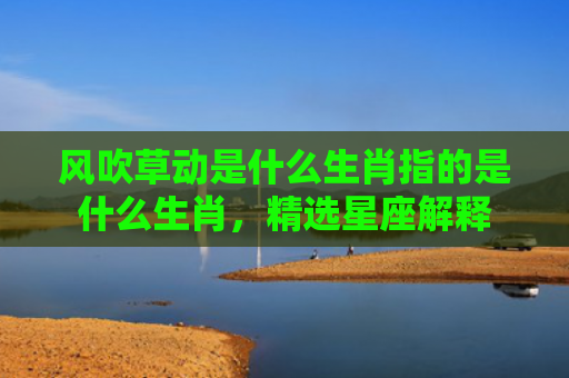 风吹草动是什么生肖指的是什么生肖，精选星座解释