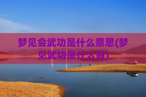 梦见会武功是什么意思(梦见武功是什么肖)