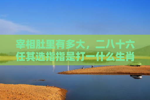 宰相肚里有多大，二八十六任其选指指是打一什么生肖，星座解读落实