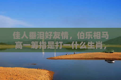 佳人垂泪好友情，伯乐相马高一筹指是打一什么生肖，星座解读落实