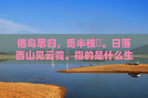 倦鸟思归，觅半枝棲。日落西山见云霓。指的是什么生肖，普及星座常识