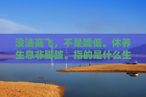 没法高飞，不是跪低。休养生息非脚跛。指的是什么生肖，解读星座知识