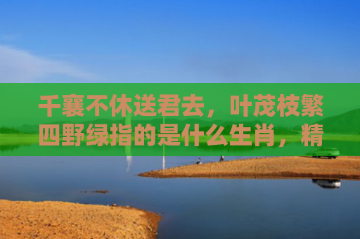 千襄不休送君去，叶茂枝繁四野绿指的是什么生肖，精选星座解释