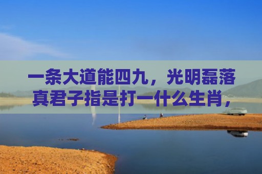 一条大道能四九，光明磊落真君子指是打一什么生肖，经典解答星座知识