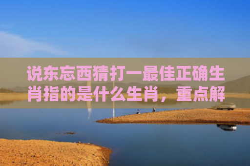 说东忘西猜打一最佳正确生肖指的是什么生肖，重点解答星座释义