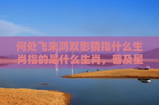 何处飞来鸿双影猜指什么生肖指的是什么生肖，普及星座常识