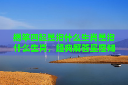 揭竿四起是指什么生肖是指什么生肖，经典解答星座知识