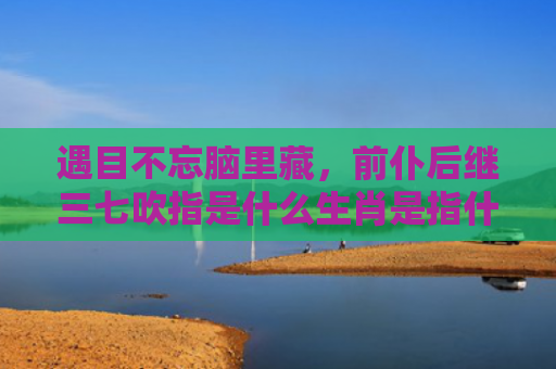 遇目不忘脑里藏，前仆后继三七吹指是什么生肖是指什么生肖，经典解答星座知识