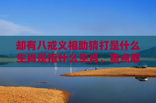 却有八戒义相助猜打是什么生肖是指什么生肖，重点解答星座释义