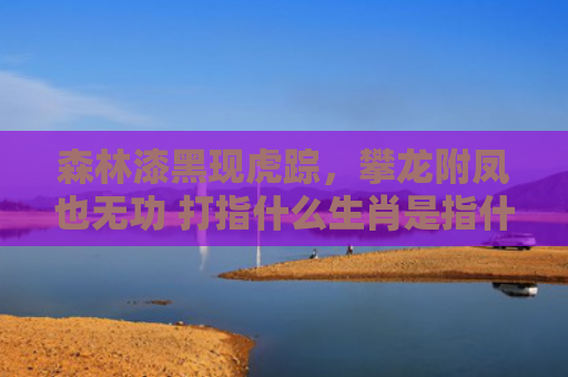 森林漆黑现虎踪，攀龙附凤也无功 打指什么生肖是指什么生肖，重点解答星座释义