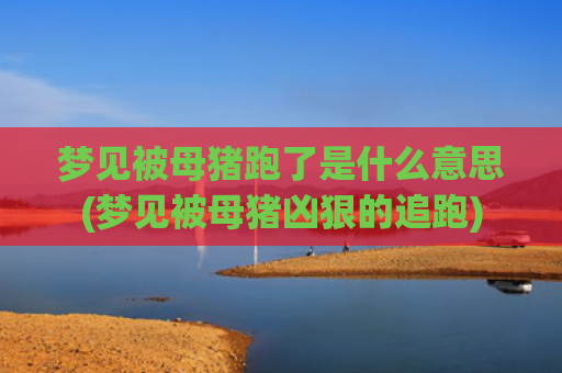 梦见被母猪跑了是什么意思(梦见被母猪凶狠的追跑)