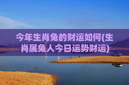 今年生肖兔的财运如何(生肖属兔人今日运势财运)