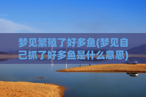 梦见繁殖了好多鱼(梦见自己抓了好多鱼是什么意思)