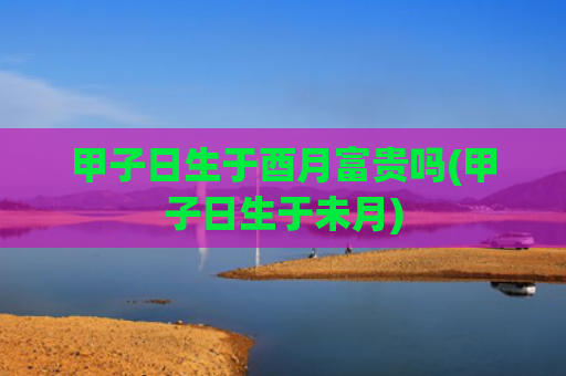甲子日生于酉月富贵吗(甲子日生于未月)