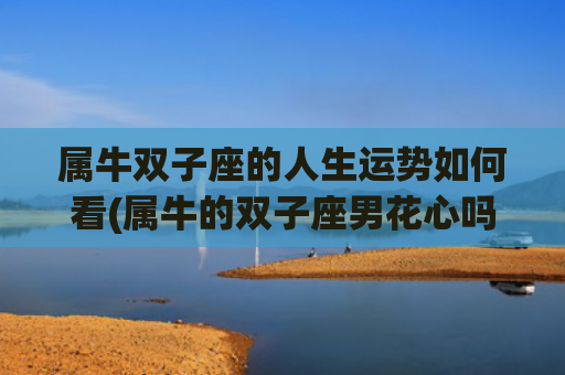 属牛双子座的人生运势如何看(属牛的双子座男花心吗)
