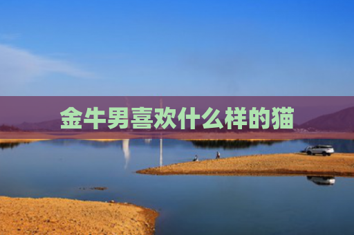 金牛男喜欢什么样的猫