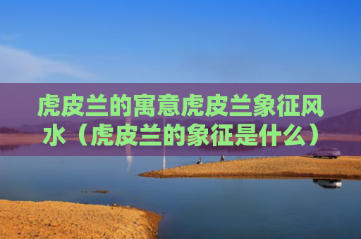 虎皮兰的寓意虎皮兰象征风水（虎皮兰的象征是什么）