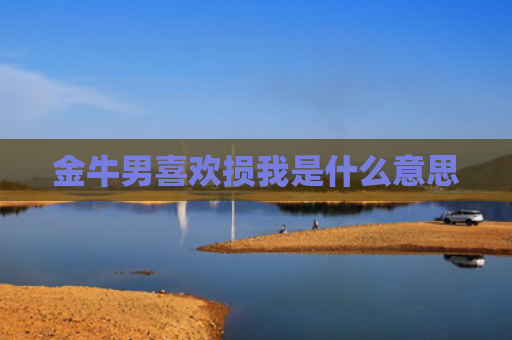 金牛男喜欢损我是什么意思