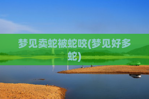 梦见卖蛇被蛇咬(梦见好多蛇) 梦见卖蛇被蛇咬(梦见好多蛇)