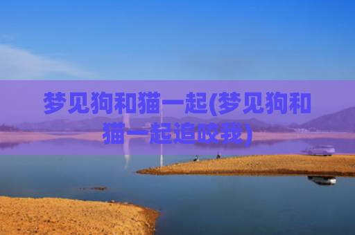 梦见狗和猫一起(梦见狗和猫一起追咬我)