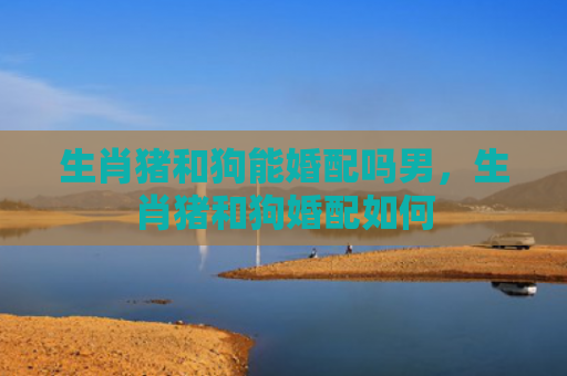 生肖猪和狗能婚配吗男，生肖猪和狗婚配如何