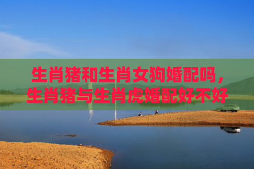 生肖猪和生肖女狗婚配吗，生肖猪与生肖虎婚配好不好