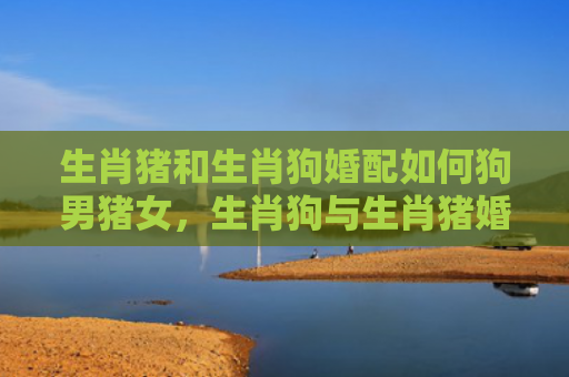 生肖猪和生肖狗婚配如何狗男猪女，生肖狗与生肖猪婚配怎样