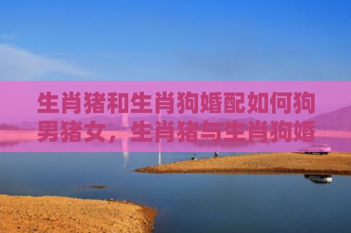 生肖猪和生肖狗婚配如何狗男猪女，生肖猪与生肖狗婚配好吗