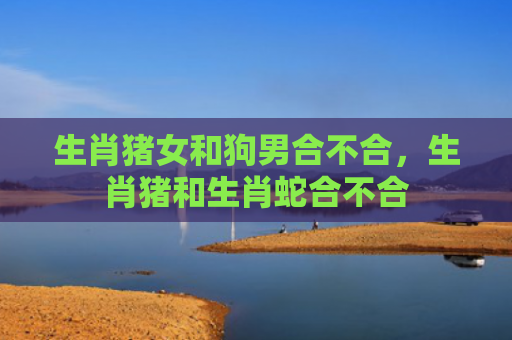 生肖猪女和狗男合不合，生肖猪和生肖蛇合不合