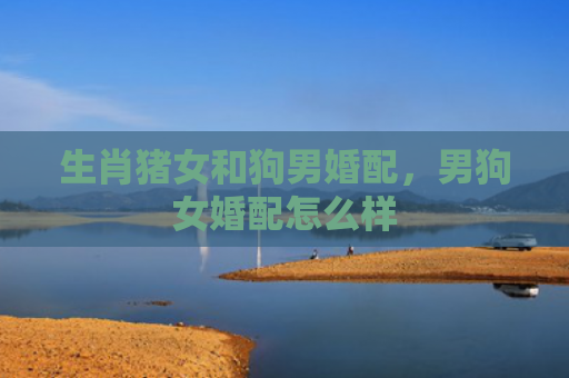 生肖猪女和狗男婚配，男狗女婚配怎么样
