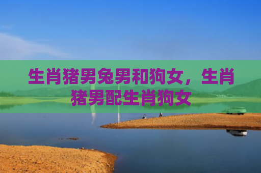 生肖猪男兔男和狗女，生肖猪男配生肖狗女