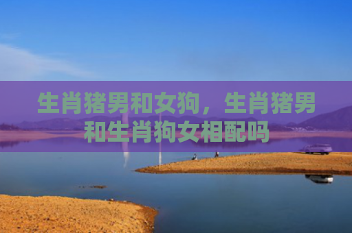 生肖猪男和女狗，生肖猪男和生肖狗女相配吗