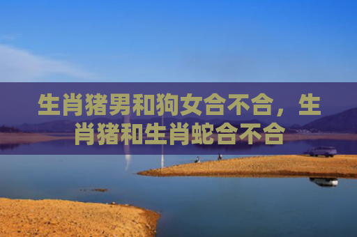 生肖猪男和狗女合不合，生肖猪和生肖蛇合不合