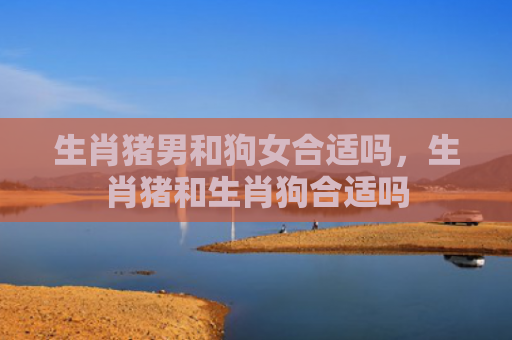 生肖猪男和狗女合适吗，生肖猪和生肖狗合适吗