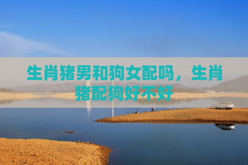 生肖猪男和狗女配吗，生肖猪配狗好不好