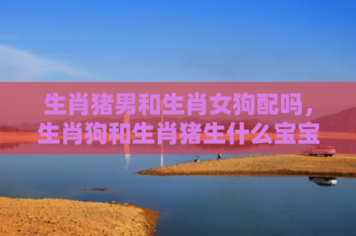 生肖猪男和生肖女狗配吗，生肖狗和生肖猪生什么宝宝