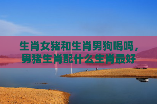 生肖女猪和生肖男狗喝吗，男猪生肖配什么生肖最好