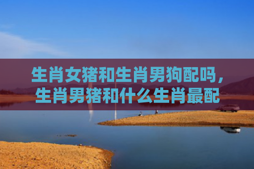 生肖女猪和生肖男狗配吗，生肖男猪和什么生肖最配