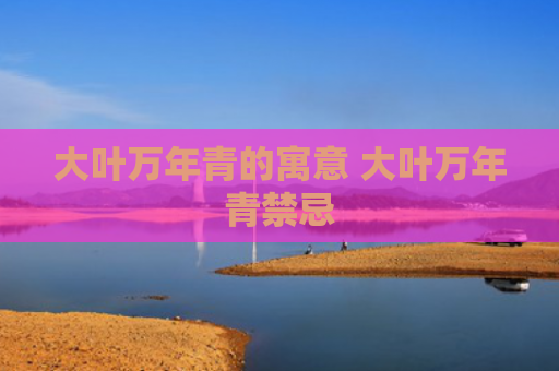 大叶万年青的寓意 大叶万年青禁忌