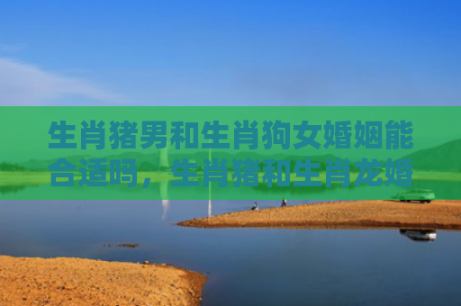 生肖猪男和生肖狗女婚姻能合适吗，生肖猪和生肖龙婚姻相配吗