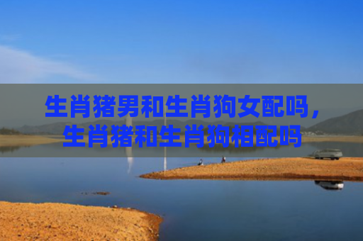 生肖猪男和生肖狗女配吗，生肖猪和生肖狗相配吗
