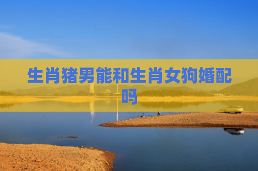 生肖猪男能和生肖女狗婚配吗