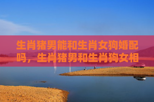 生肖猪男能和生肖女狗婚配吗，生肖猪男和生肖狗女相配吗