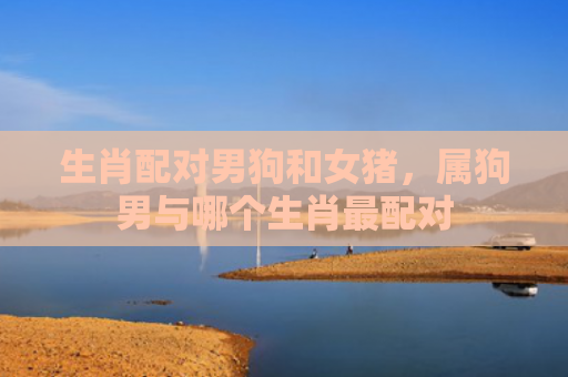 生肖配对男狗和女猪，属狗男与哪个生肖最配对