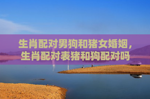 生肖配对男狗和猪女婚姻，生肖配对表猪和狗配对吗