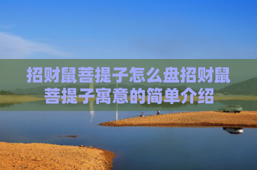 招财鼠菩提子怎么盘招财鼠菩提子寓意的简单介绍